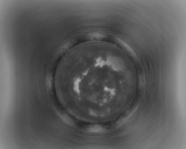 X0000111650451200907241135