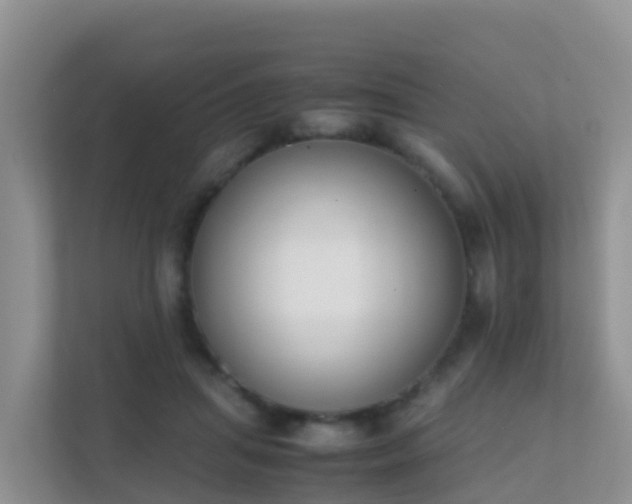 X0000111650455200907241135
