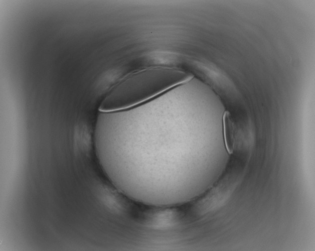 X0000111650456200907241135