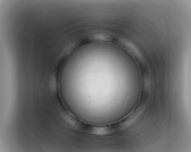 X0000111650457200907241135