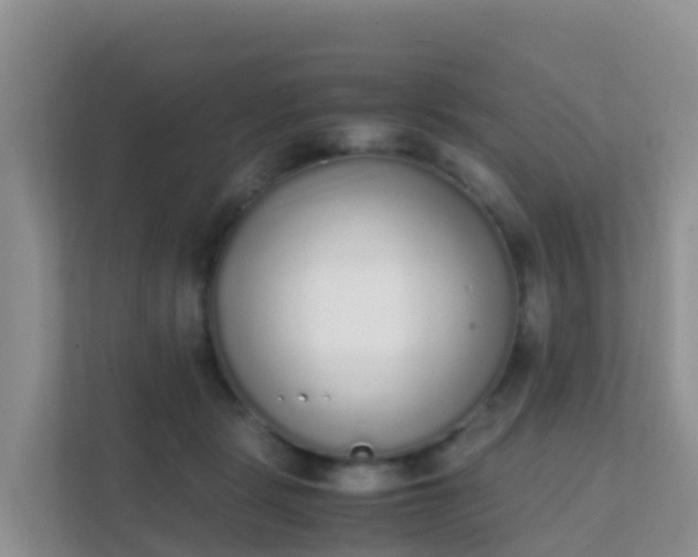 X0000111650461200907241135