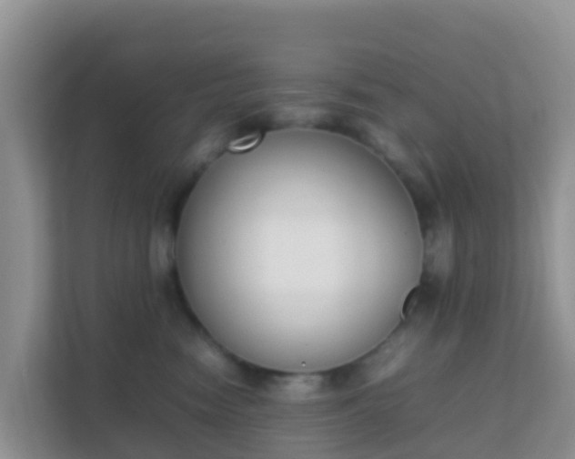 X0000111650474200907241135