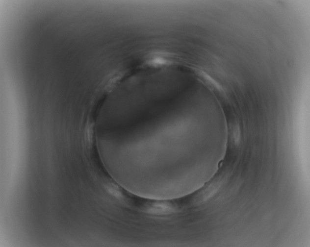 X0000111650475200907241135