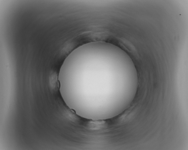 X0000111650480200907241135
