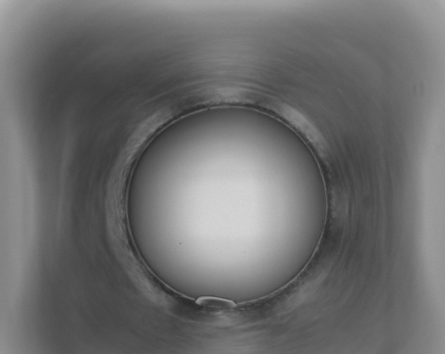 X0000111650481200907241134