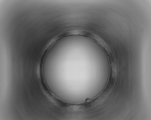 X0000111650482200907241134