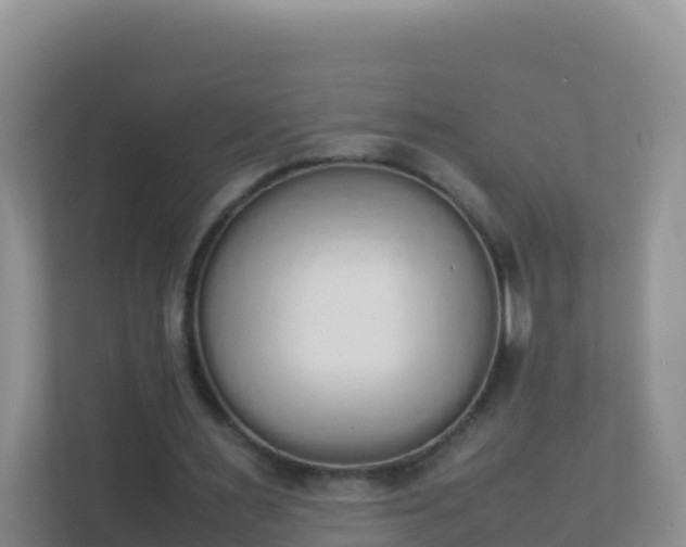 X0000111650483200907241134
