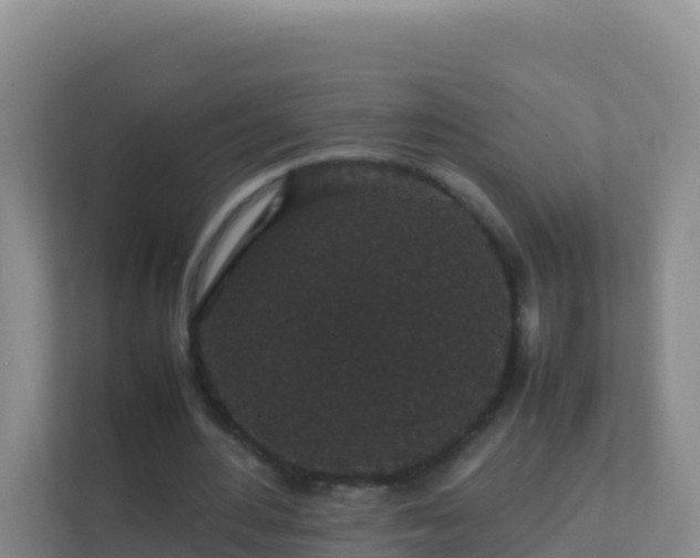 X0000111650484200907241134