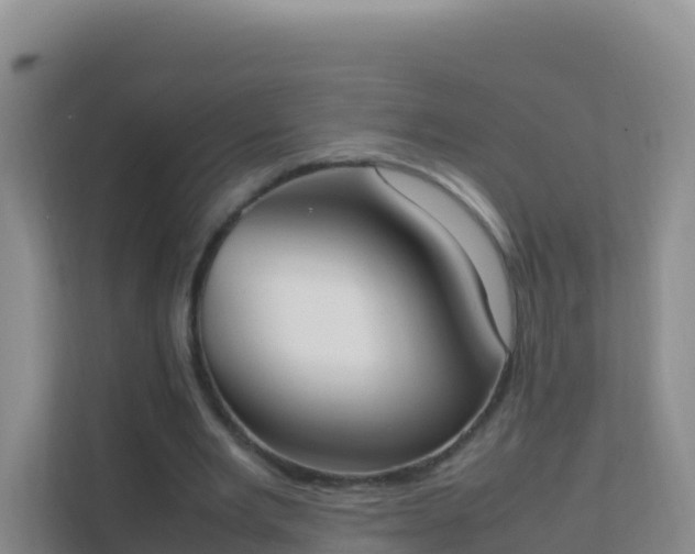 X0000111650485200907241134