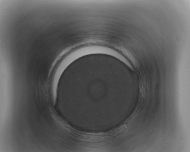 X0000111650488200907241134