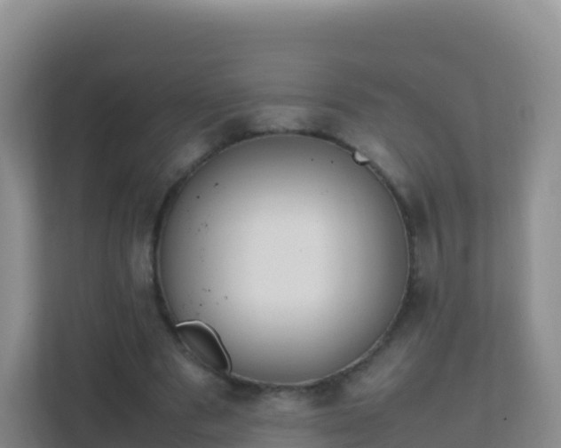 X0000111650489200907241134