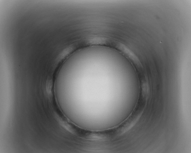 X0000111650490200907241134