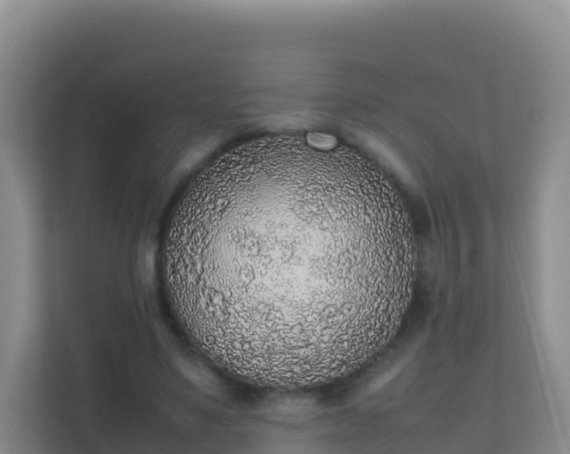 X0000111650491200907241134