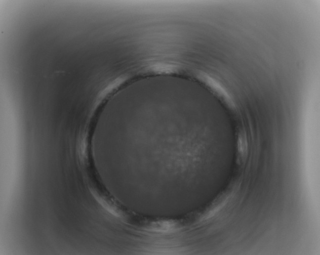 X0000111650492200907241134