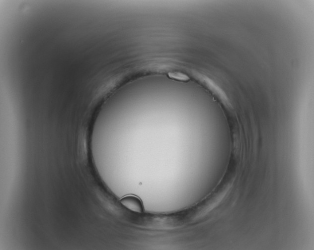 X0000111650493200907241134