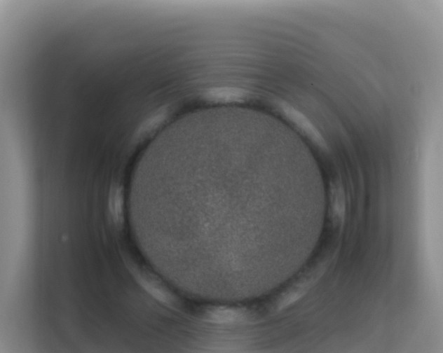 X0000111650494200907241134