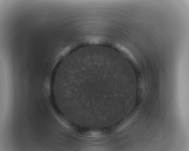X0000111650496200907241134