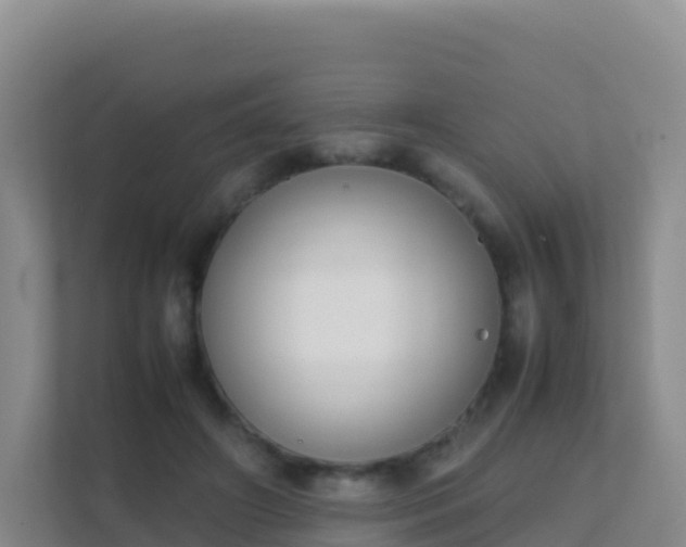 X0000111650498200907241134