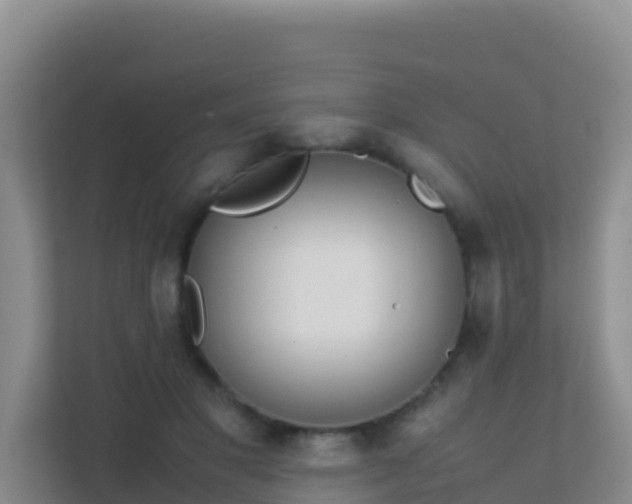 X0000111650501200907241134