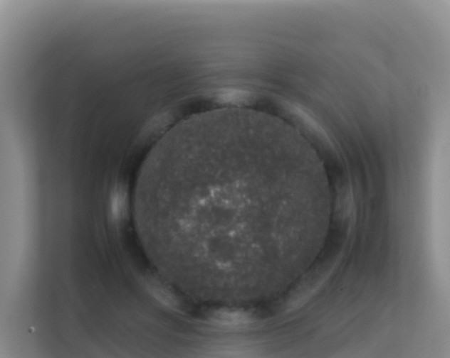 X0000111650502200907241134