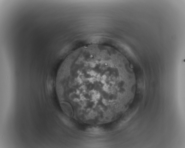 X0000111650503200907241134