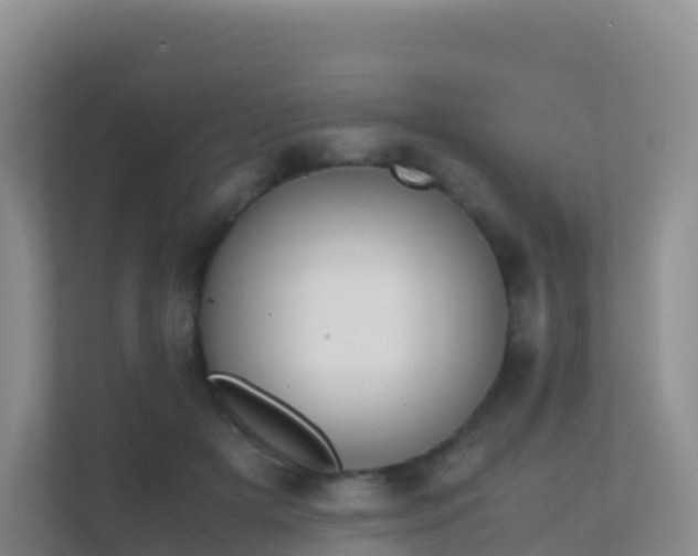 X0000111650505200907241134