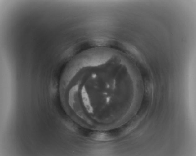 X0000111650507200907241134