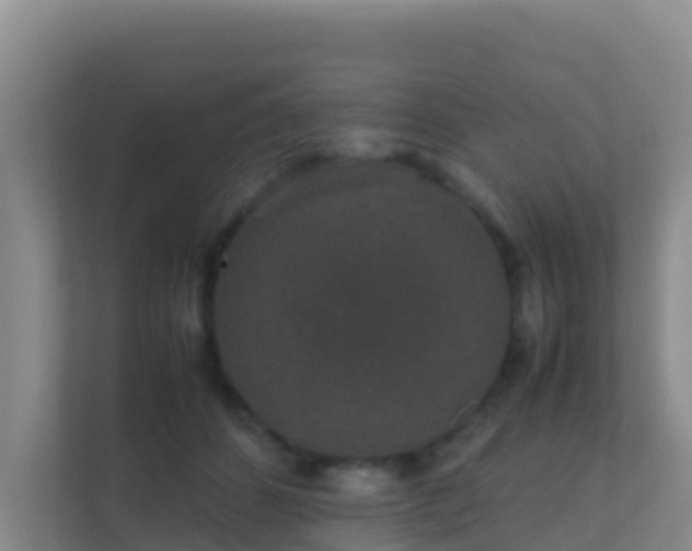 X0000111650512200907241134
