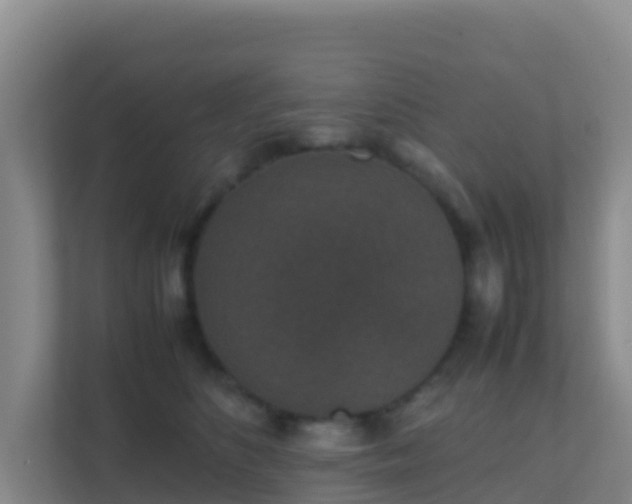 X0000111650516200907241134