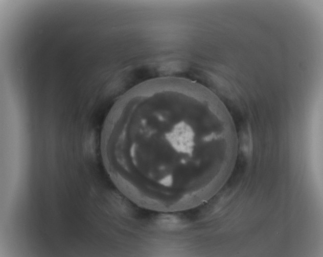 X0000111650519200907241134