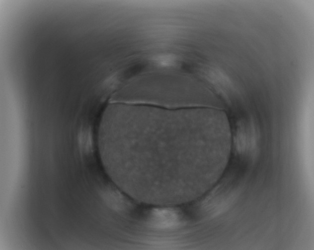 X0000111650520200907241134