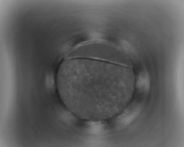 X0000111650524200907241134