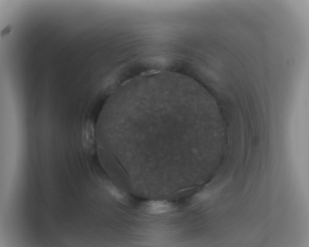 X0000111650528200907241134