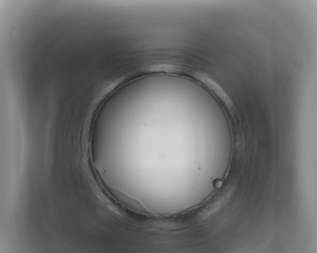 X0000111650529200907241133