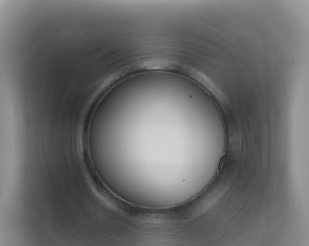 X0000111650530200907241133