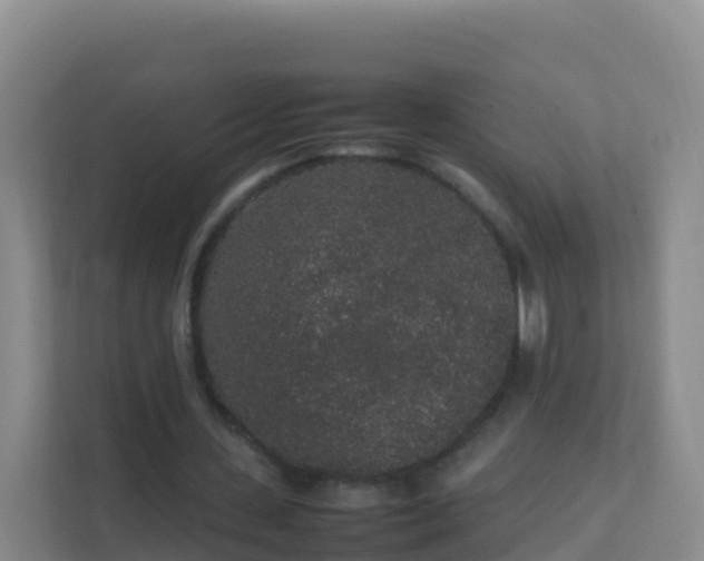 X0000111650531200907241133