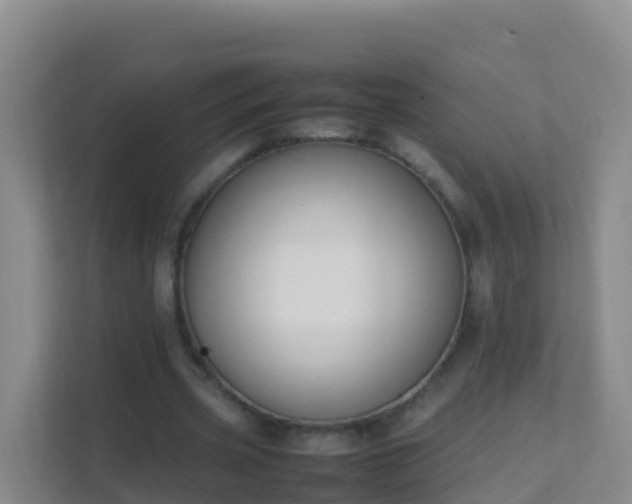 X0000111650533200907241133