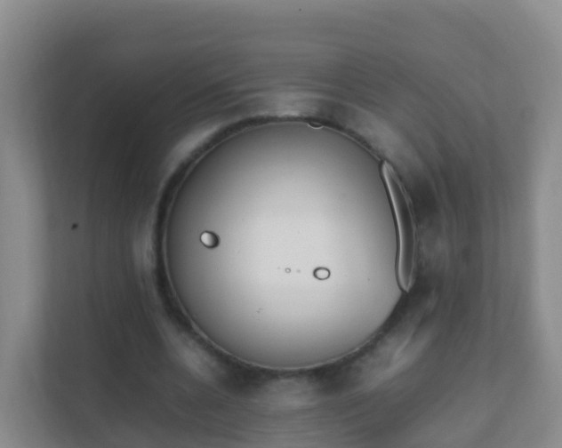 X0000111650536200907241133