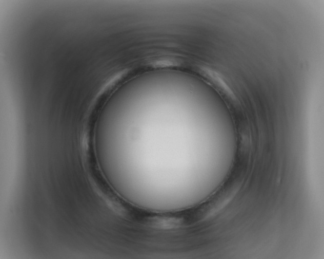 X0000111650539200907241133