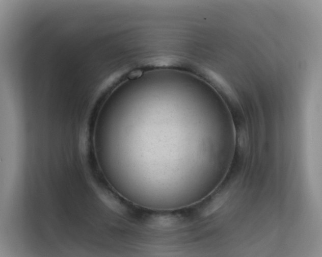 X0000111650540200907241133