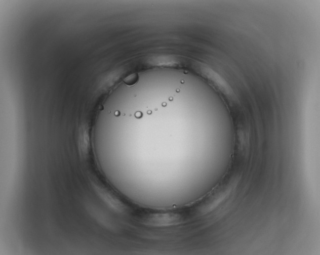 X0000111650541200907241133