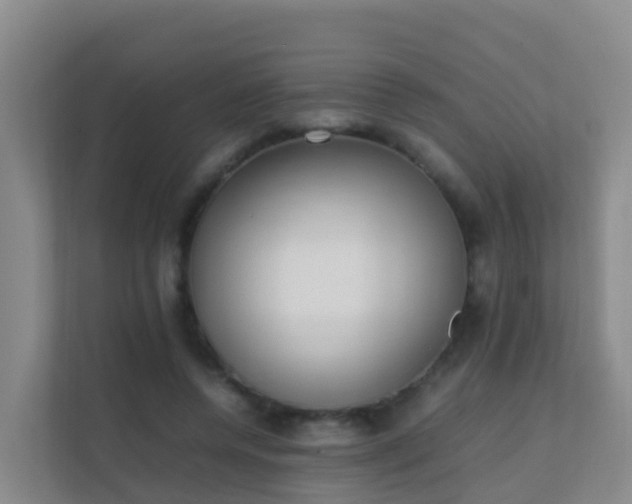 X0000111650544200907241133