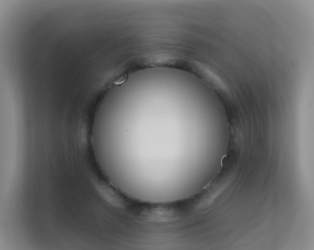 X0000111650546200907241133