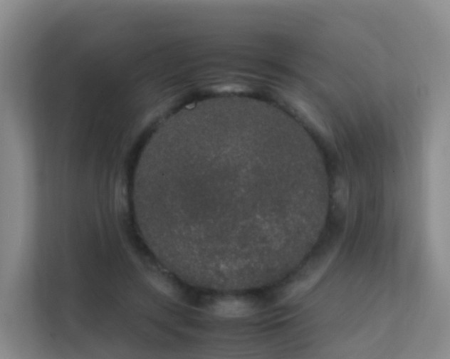 X0000111650547200907241133