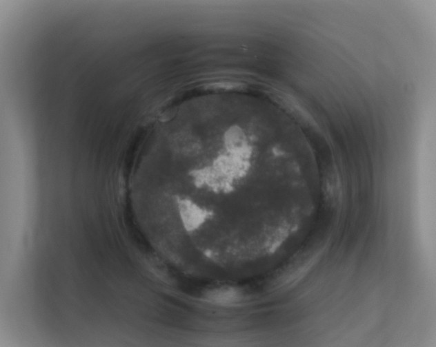 X0000111650551200907241133