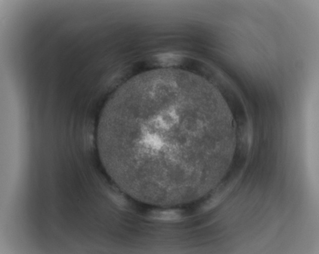 X0000111650553200907241133