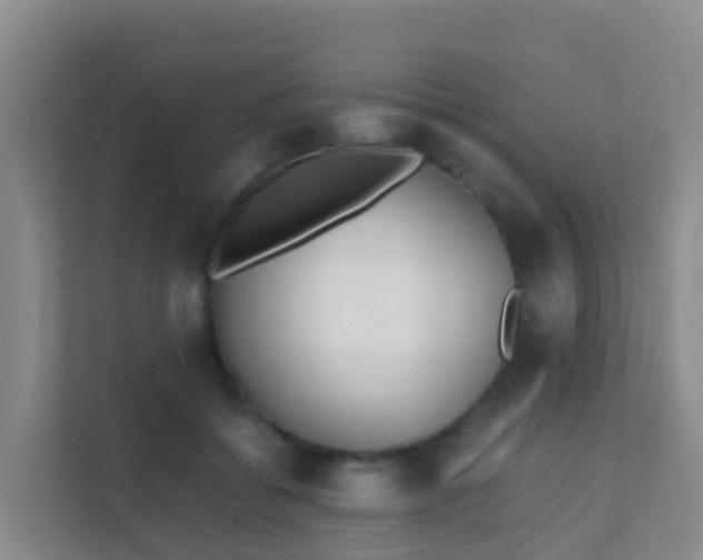 X0000111650556200907241134