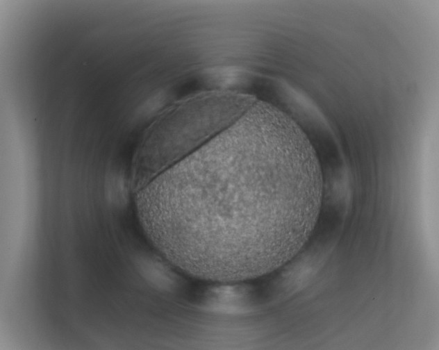 X0000111650558200907241134