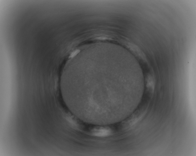 X0000111650559200907241134