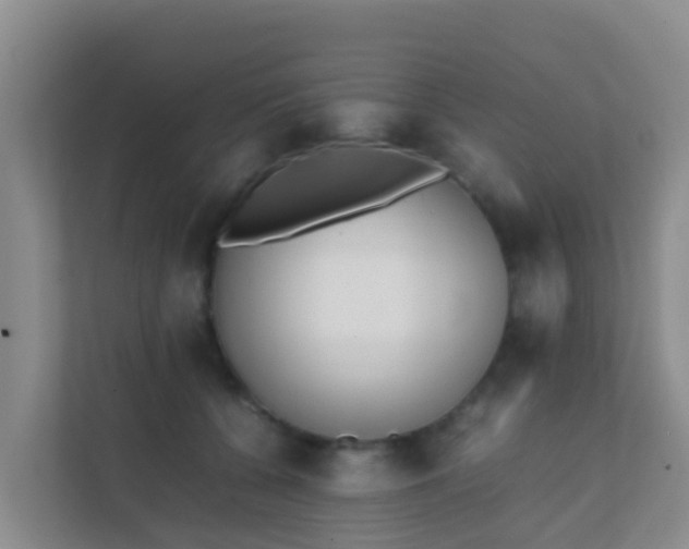 X0000111650560200907241134